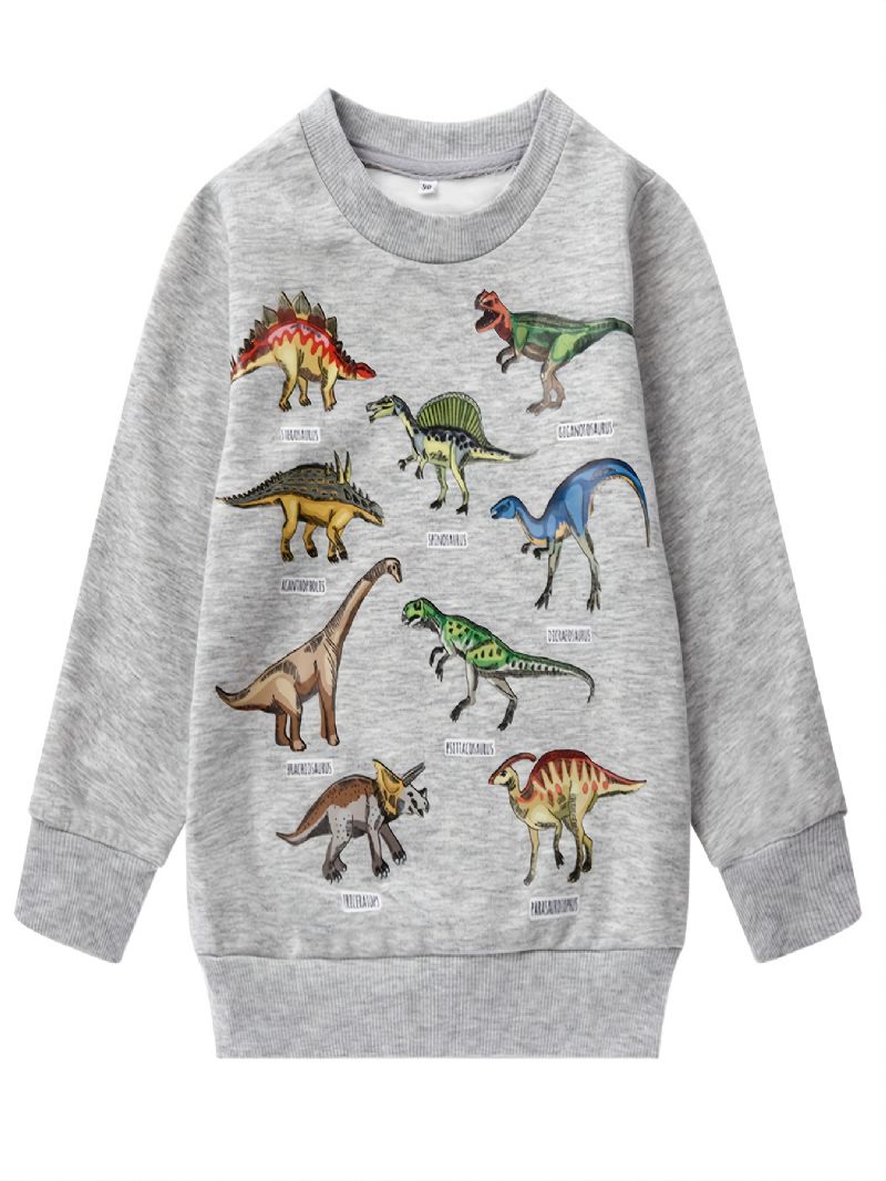 Gutter Dinosaur Print Langermet Genser Med Rund Hals