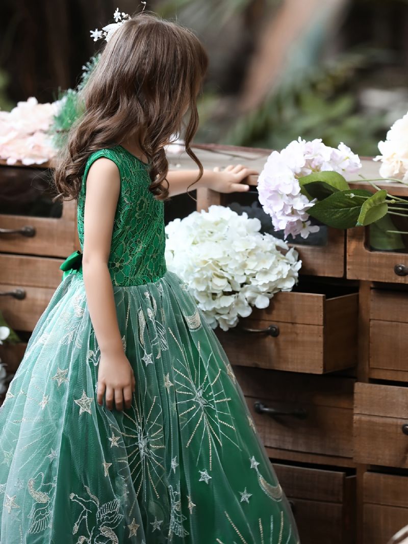 Baby Jenter Prinsessekjole Ermeløs Brodert Blonder Tyll Kjole Bryllup Blomster Til Kvelds Bursdagsfest Barneklær