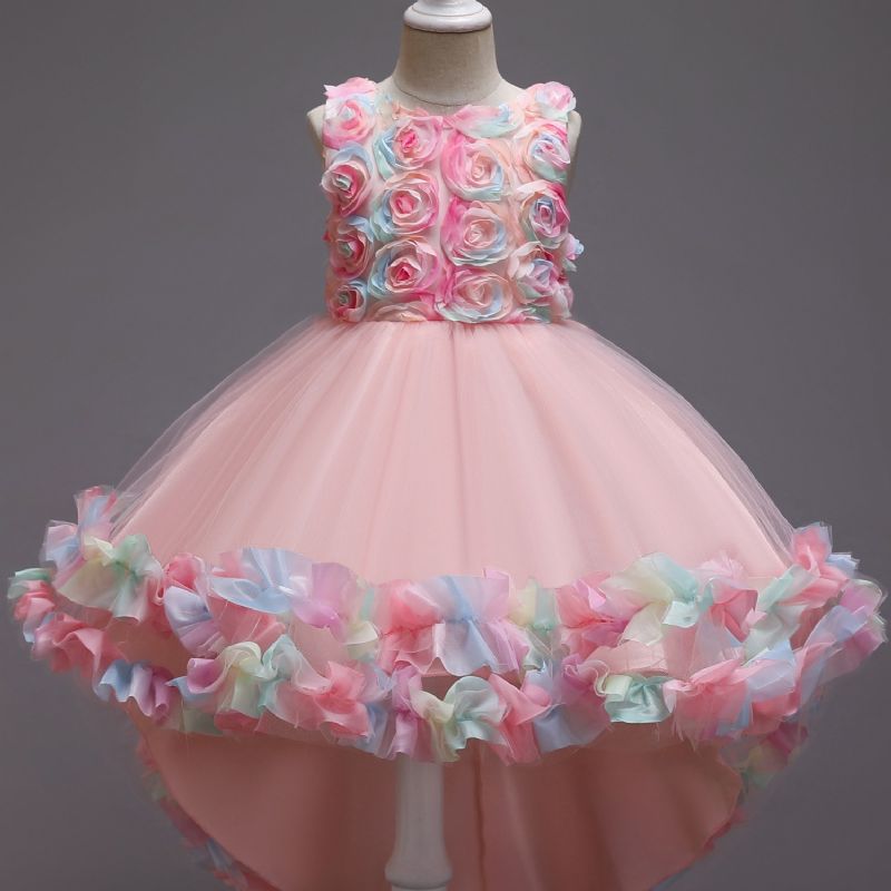 Jenter Mesh Flower Catwalk Princess Dress Barneklær