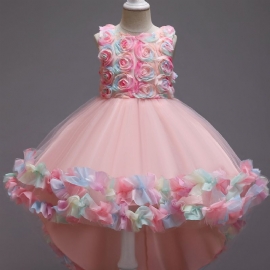 Jenter Mesh Flower Catwalk Princess Dress Barneklær