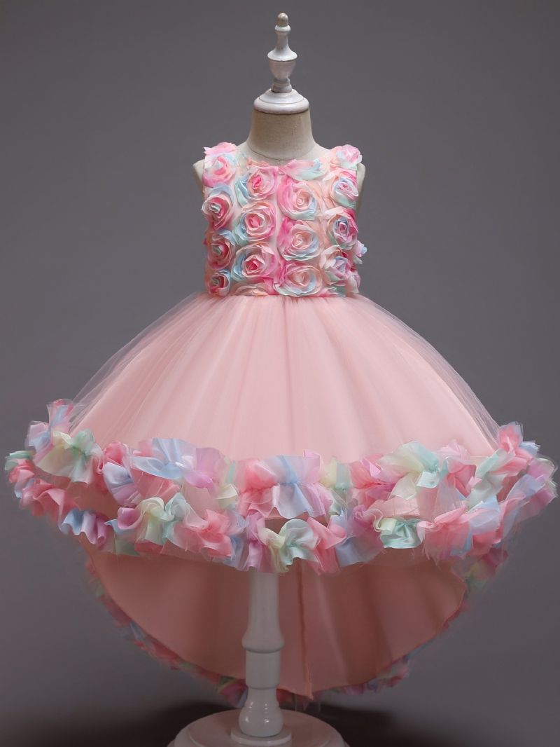 Jenter Mesh Flower Catwalk Princess Dress Barneklær