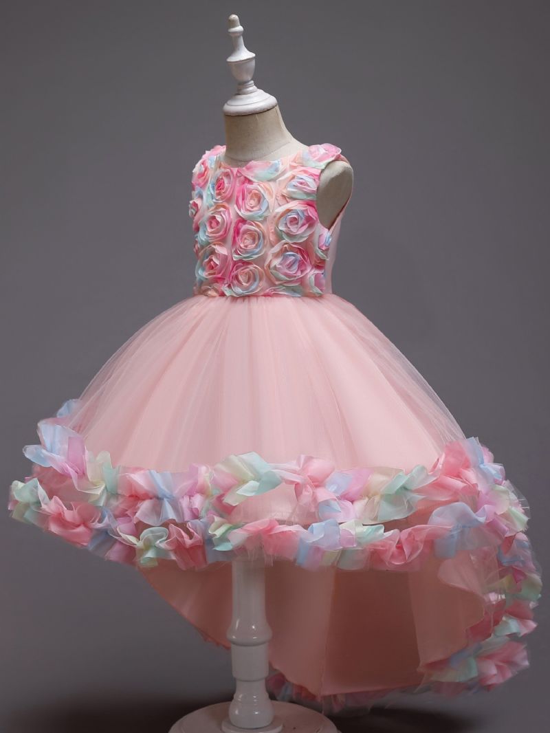 Jenter Mesh Flower Catwalk Princess Dress Barneklær