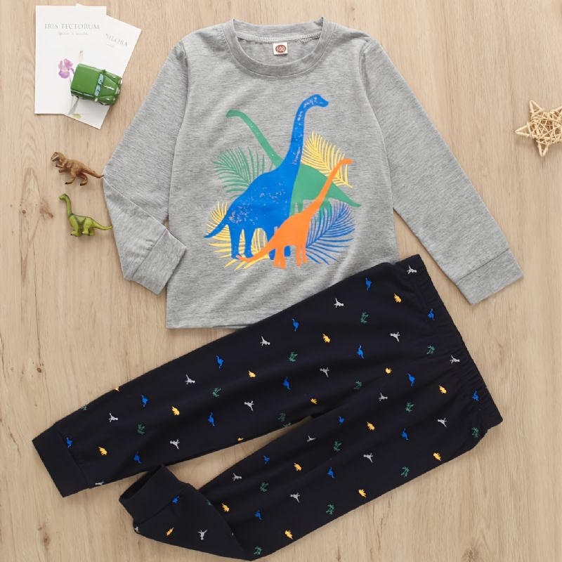 2 Stk Gutter Casual Dinosaur Print Langermet Sett