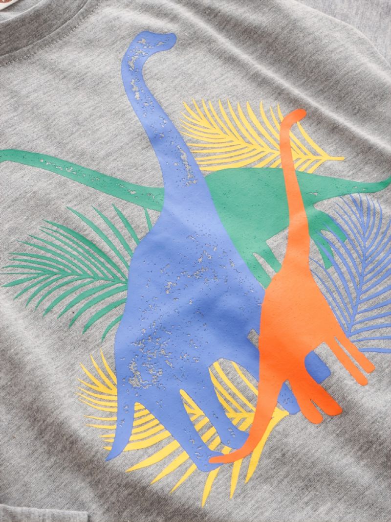 2 Stk Gutter Casual Dinosaur Print Langermet Sett