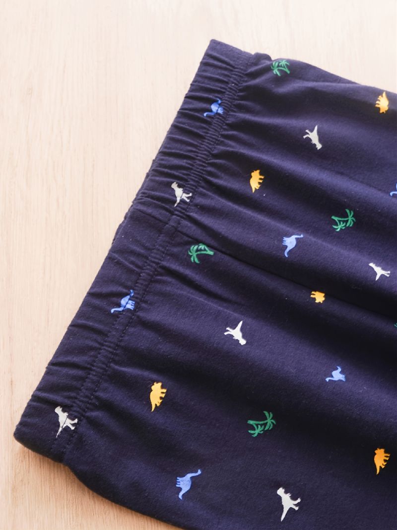 2 Stk Gutter Casual Dinosaur Print Langermet Sett