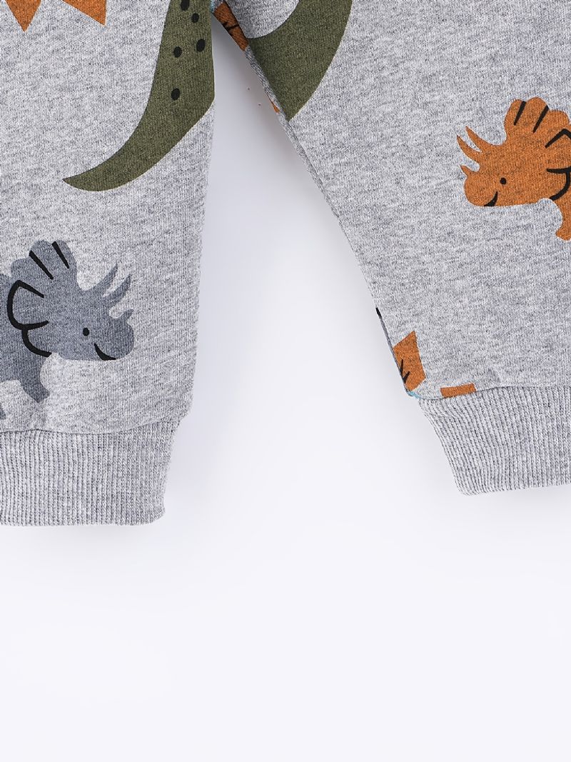 2 Stk Gutter Søt Dinosaur Tegneserietrykk Langermet Hettegenser Sweatshirt Topp Elastisk Midjebuksesett Klær