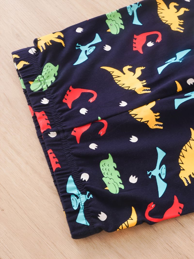 Gutter Casual Søt Dinosaur Printed Langermet Crew Neck Toppbukser 2 Stk Sett